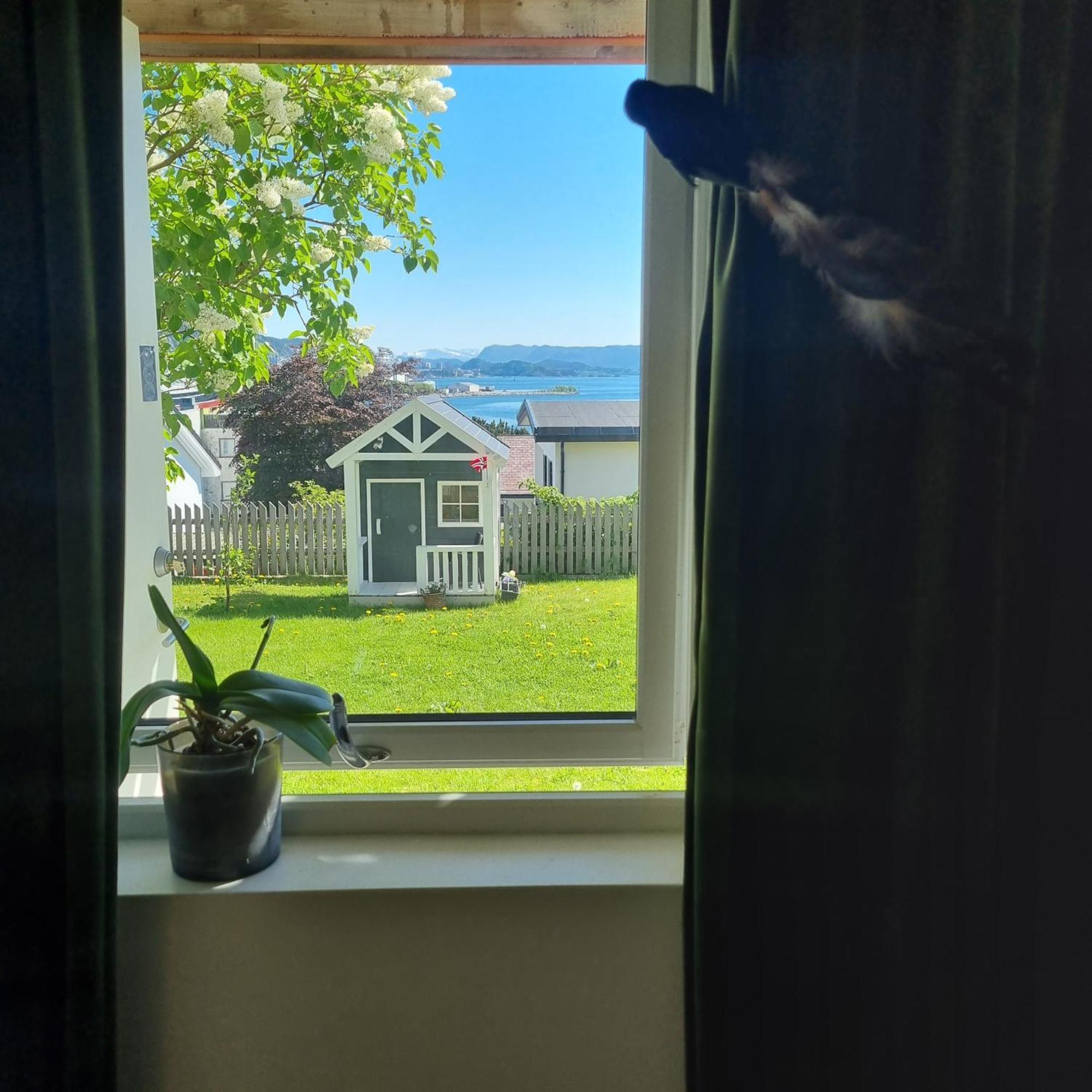 Apartment Near Center / Free P Ålesund Zewnętrze zdjęcie